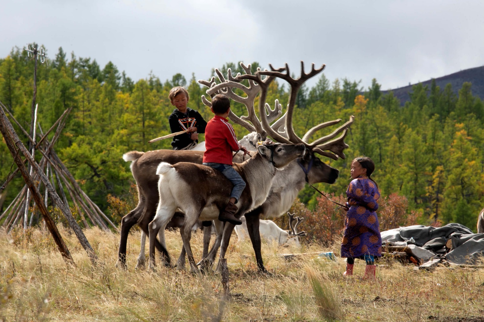 Wonders of July  12D11N  - NAADAM FESTIVAL photo 3