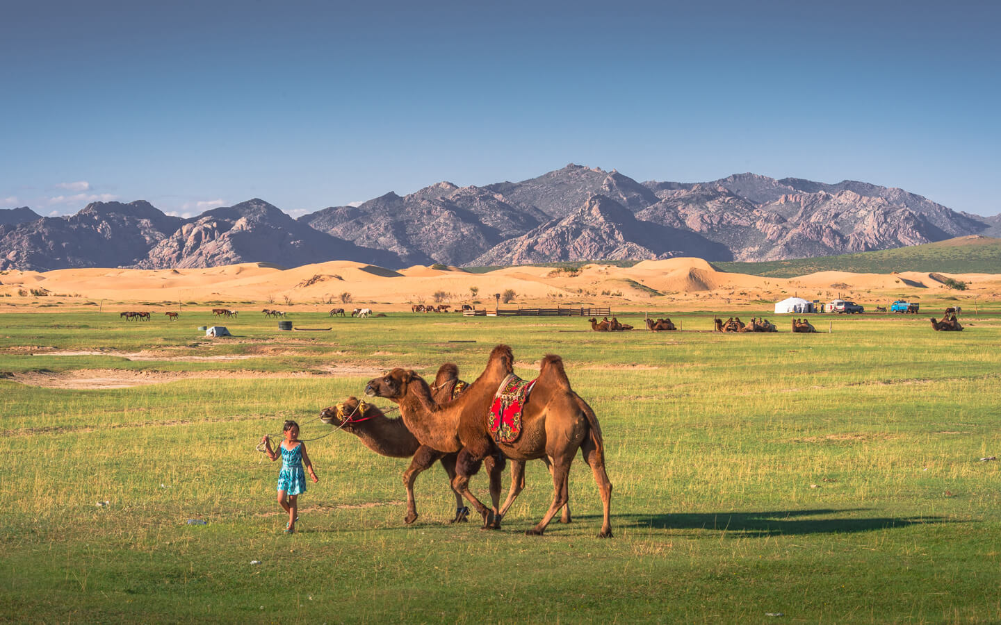 Central Mongolia - 10 Days / 9 Nights photo 2