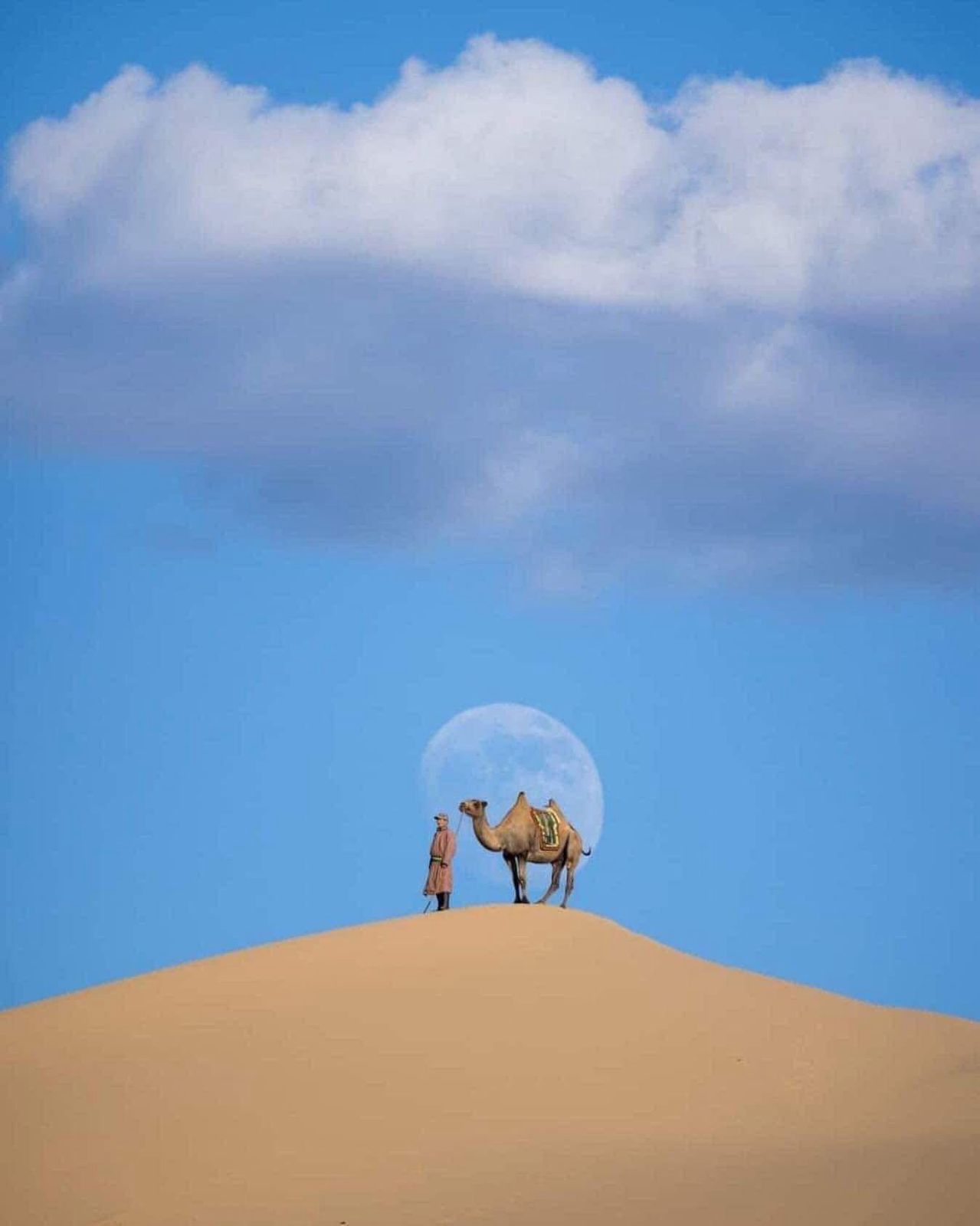 Mongolian Treasures -12 Days/ 11 Nights photo 2