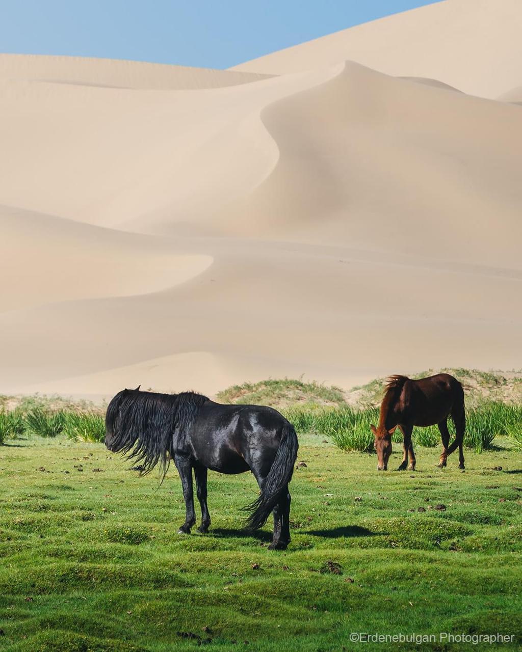Gobi Highlights - 7 Days / 6 Nights photo 2
