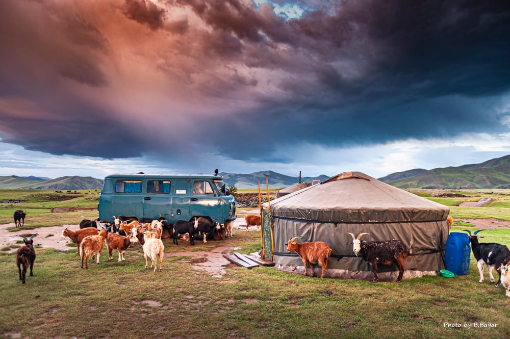 MONGOLIAN HORIZONS: A Family Journey 10D9N photo 3