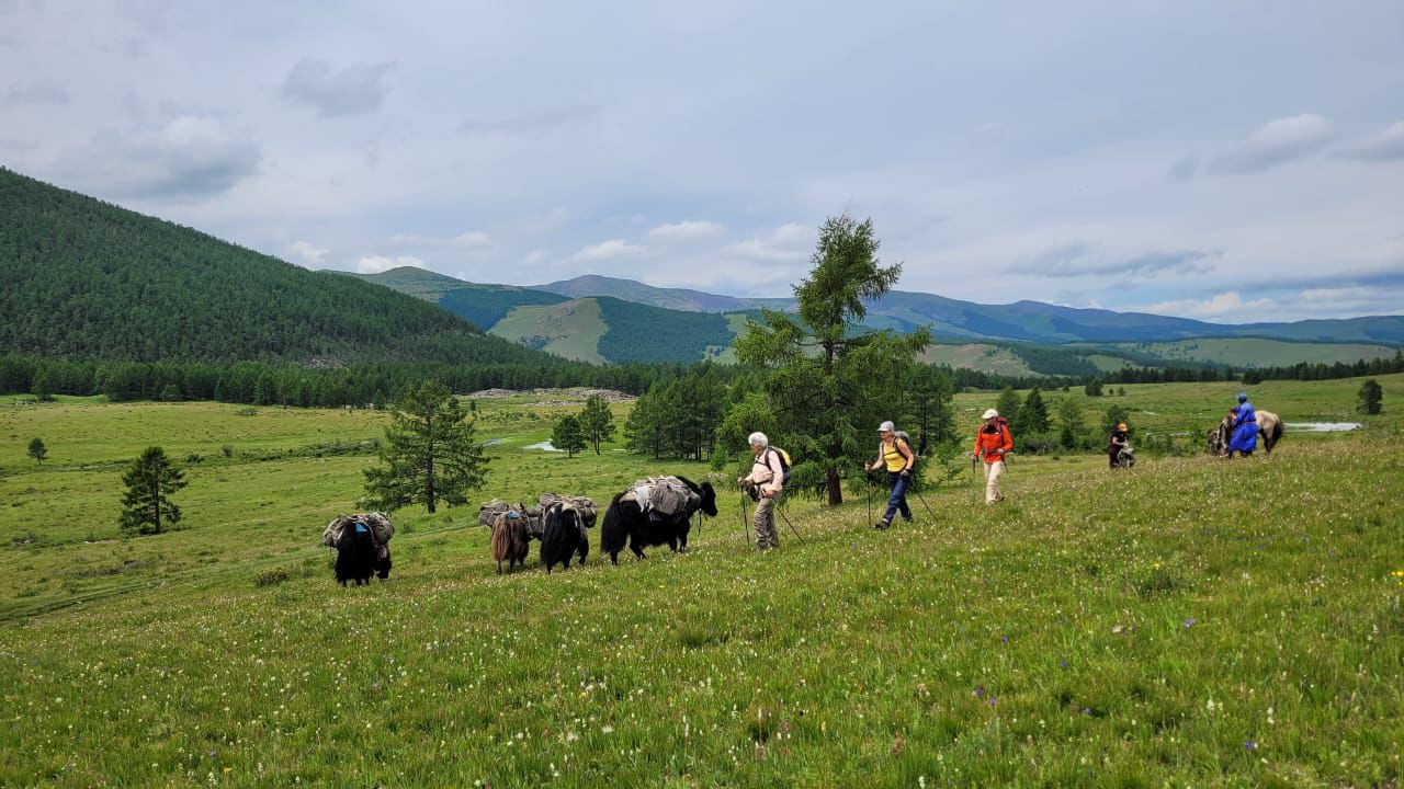 Trekking in Central Mongolia tour image