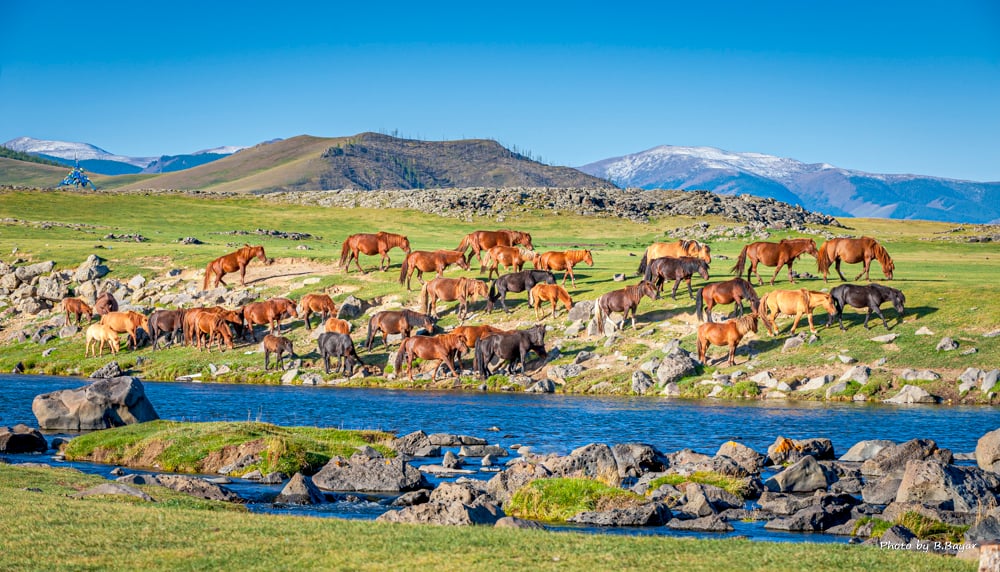 Trekking in Central Mongolia photo 4