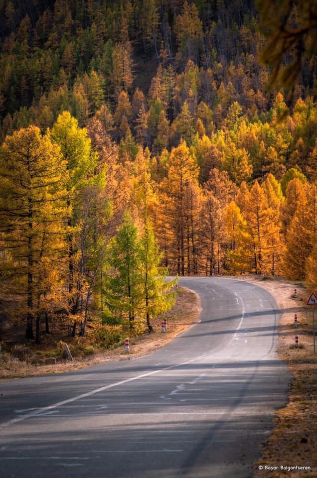 Central Mongolia in Autumn photo 1