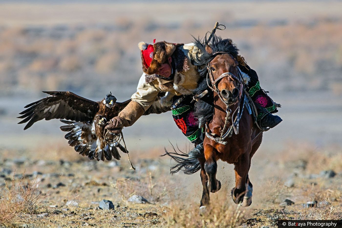 Golden Eagle Festival & Golden Gobi tour image