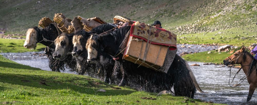 The Yak Festival: July -10 Days  / 9 Nights photo 1