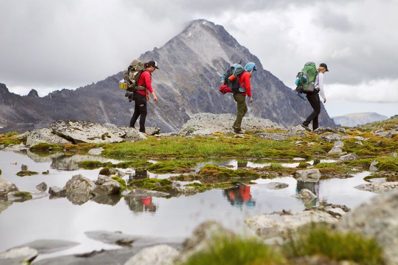 Altai Tavan Bogd Trekking  Tour photo 1
