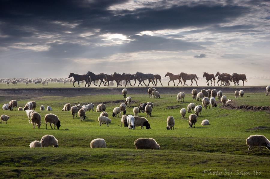 Discover Mongolia- 21 Days / 20 Nights photo 2