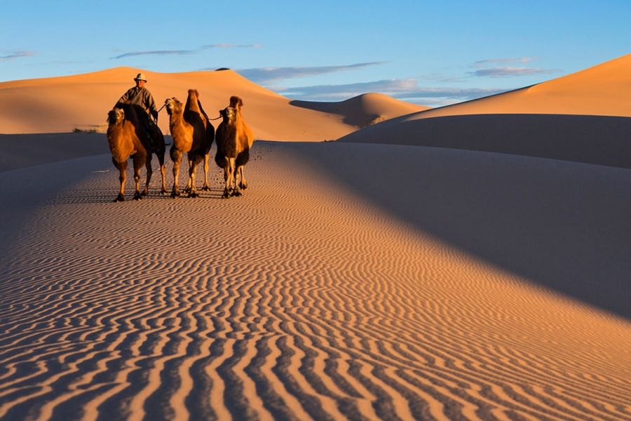 Best of August 12D11N NOMADIC FESTIVAL photo 4