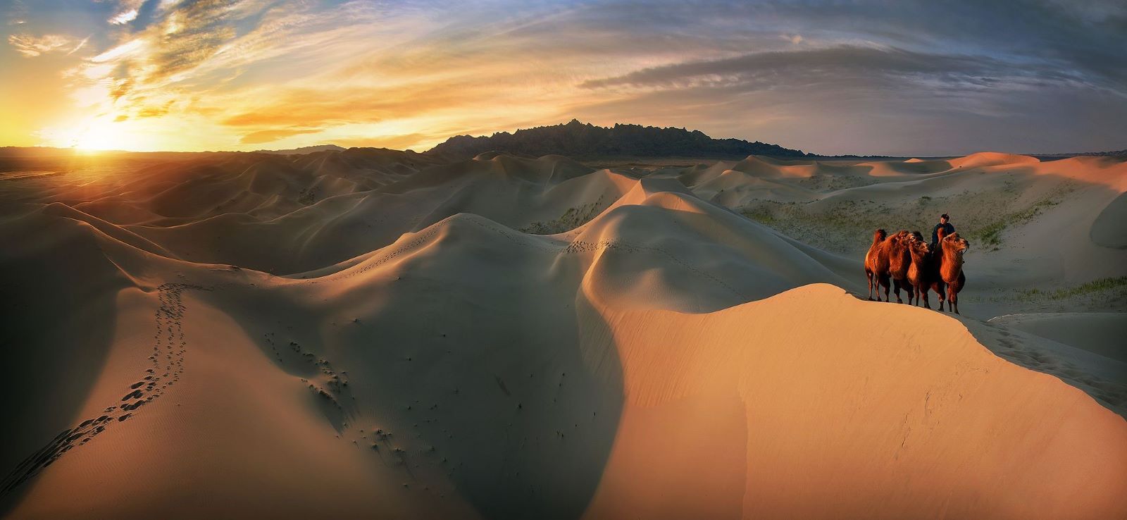 Discover Mongolia- 21 Days / 20 Nights photo 3