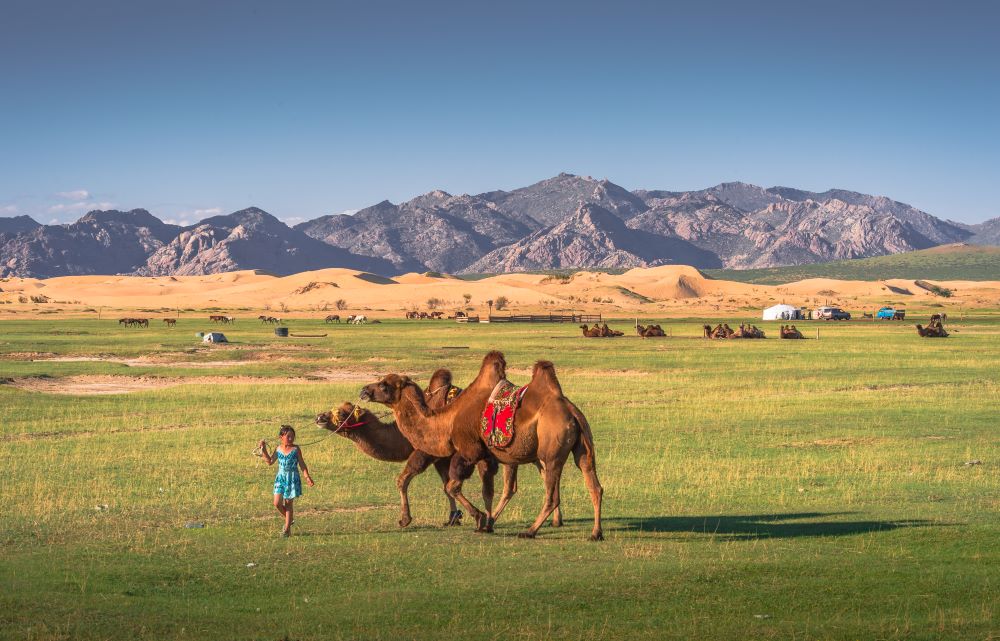 Horseback Riding Tour photo 4