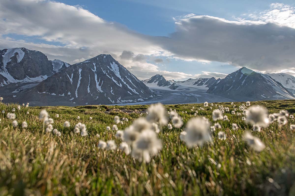 Western Mongolia Tour photo 1