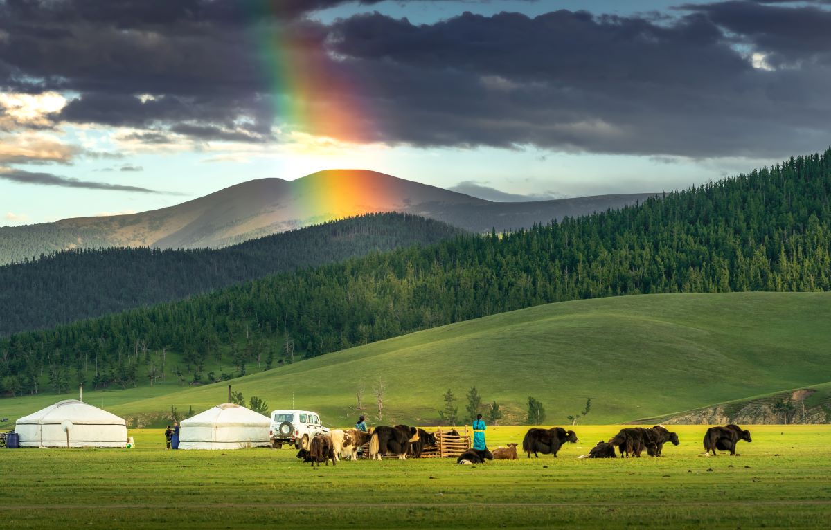 Central Mongolia - 10 Days / 9 Nights photo 1
