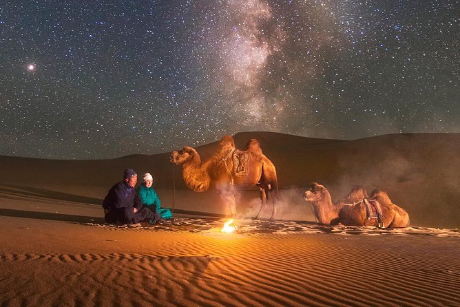 Golden Gobi Dreams          8 Days 7 Nights photo 1