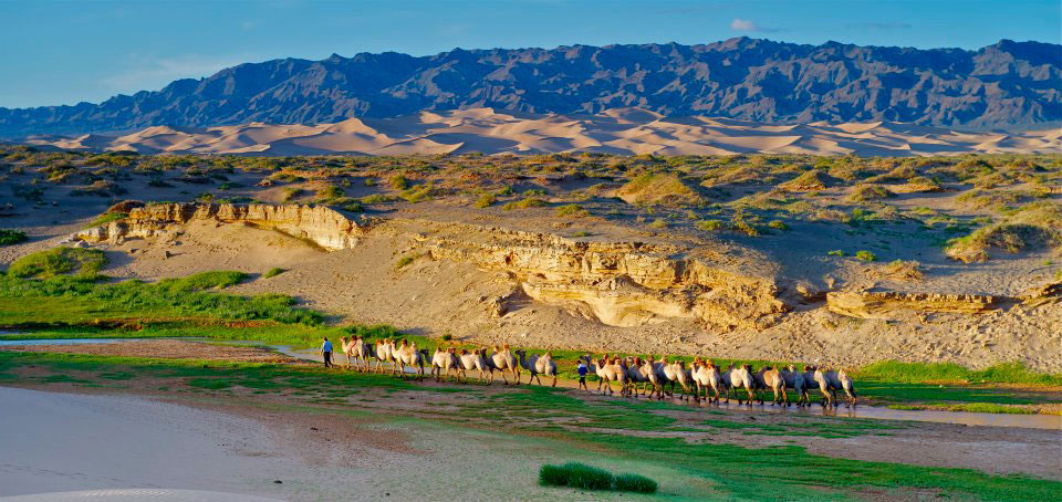 Majestic Gobi - 9 Days / 8 Nights photo 2