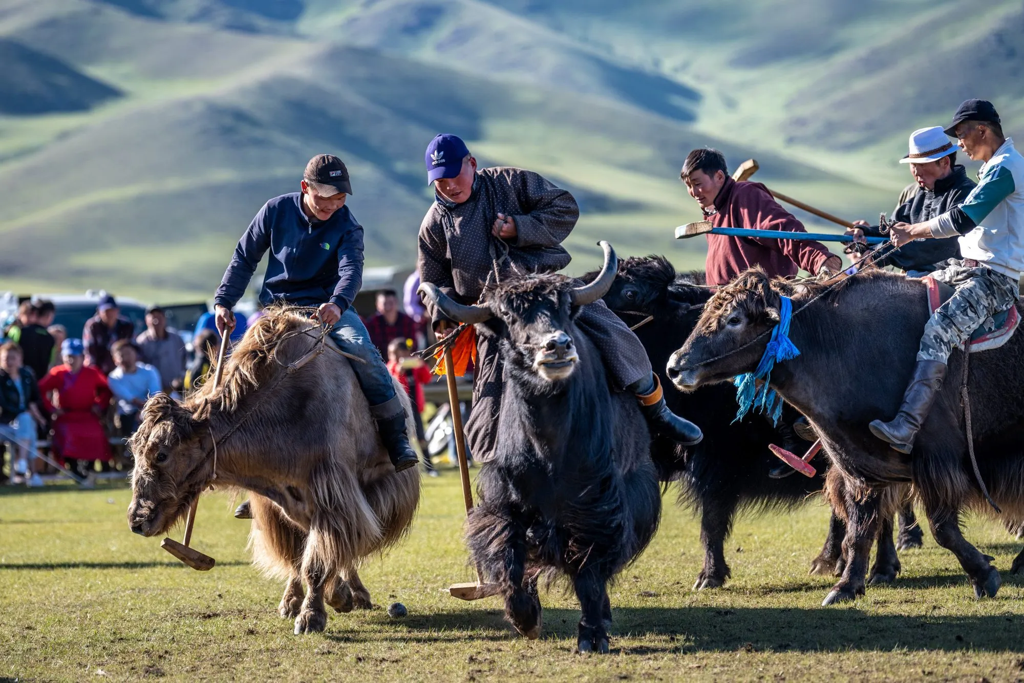 The Yak Festival: July -10 Days  / 9 Nights photo 4