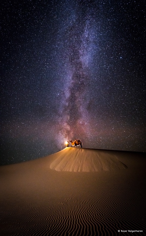Gobi Highlights - 10 Days / 9 Nights photo 1